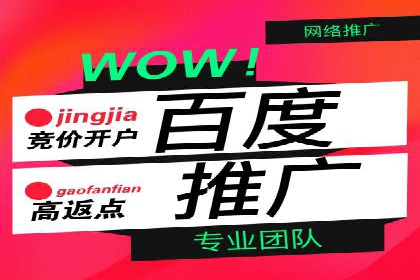百度平台推广案例：低成本营销的成功之道